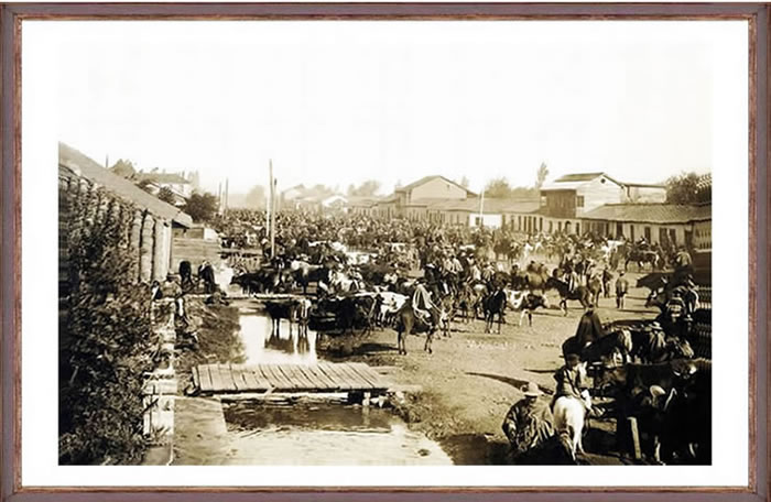 Mercado antiguo de Chillán.